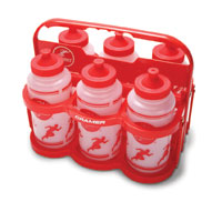 Collapsible carrier